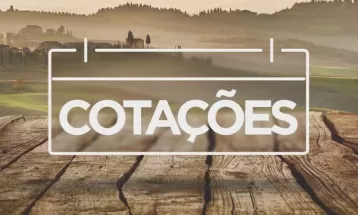 Batata e pepino mais baratos: veja cotação das Ceasas do Paraná 