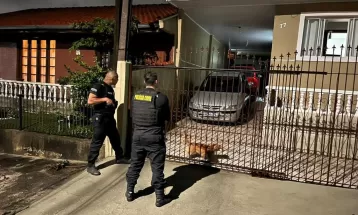 Polícia Civil mira suspeitos de cortar árvores sem permissão para favorecer visualização de outdoors, em Curitiba
