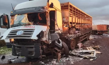 Motoristas ficam feridos após batida entre caminhão carregado com porcos e outro transportando peixes na PR-182