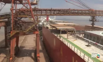 Fim do acordo de grãos entre Rússia e Ucrânia pode ser oportunidade para agropecuária do Paraná; entenda