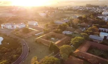 Paraná receberá evento nacional que discute desenvolvimento de sistemas de produção de trigo; veja detalhes
