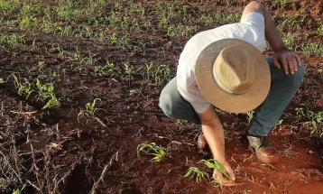 Agricultores relatam orgulho de herdar profissão dos pais e avós: 'A gente vive do campo'