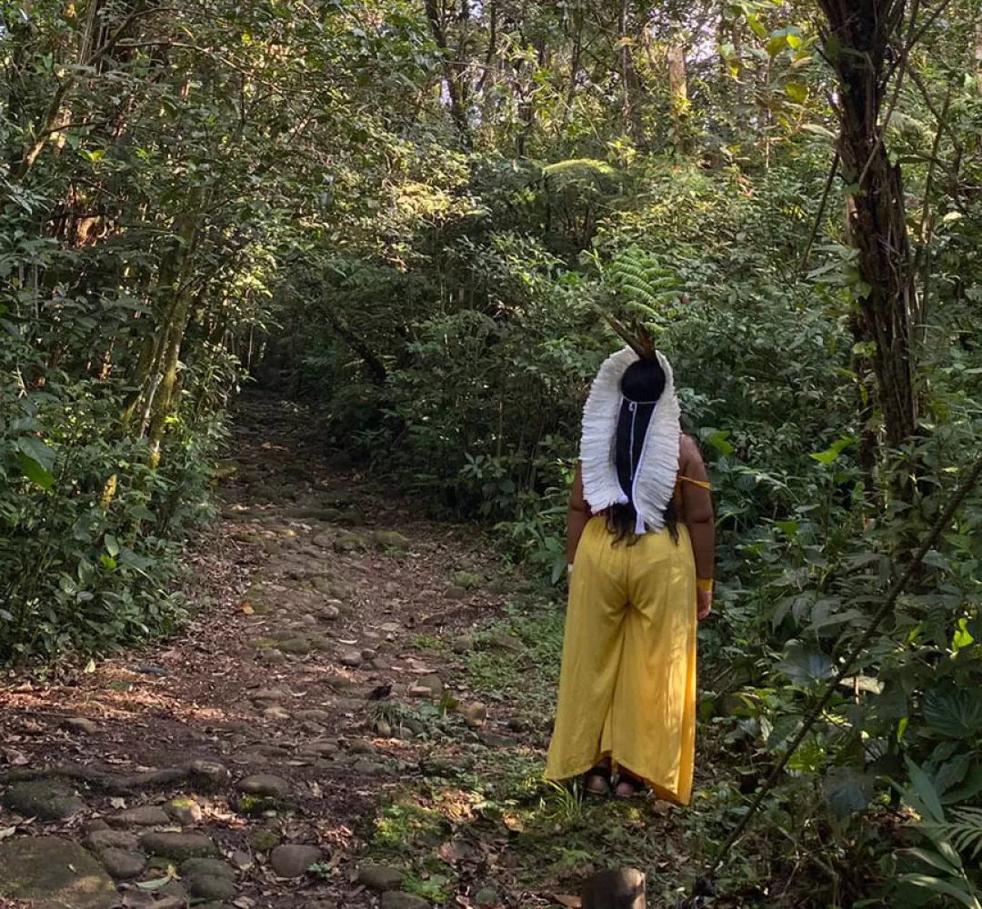 Grande Reserva da Mata Atlântica recebe agenda turística com experiência cultural
