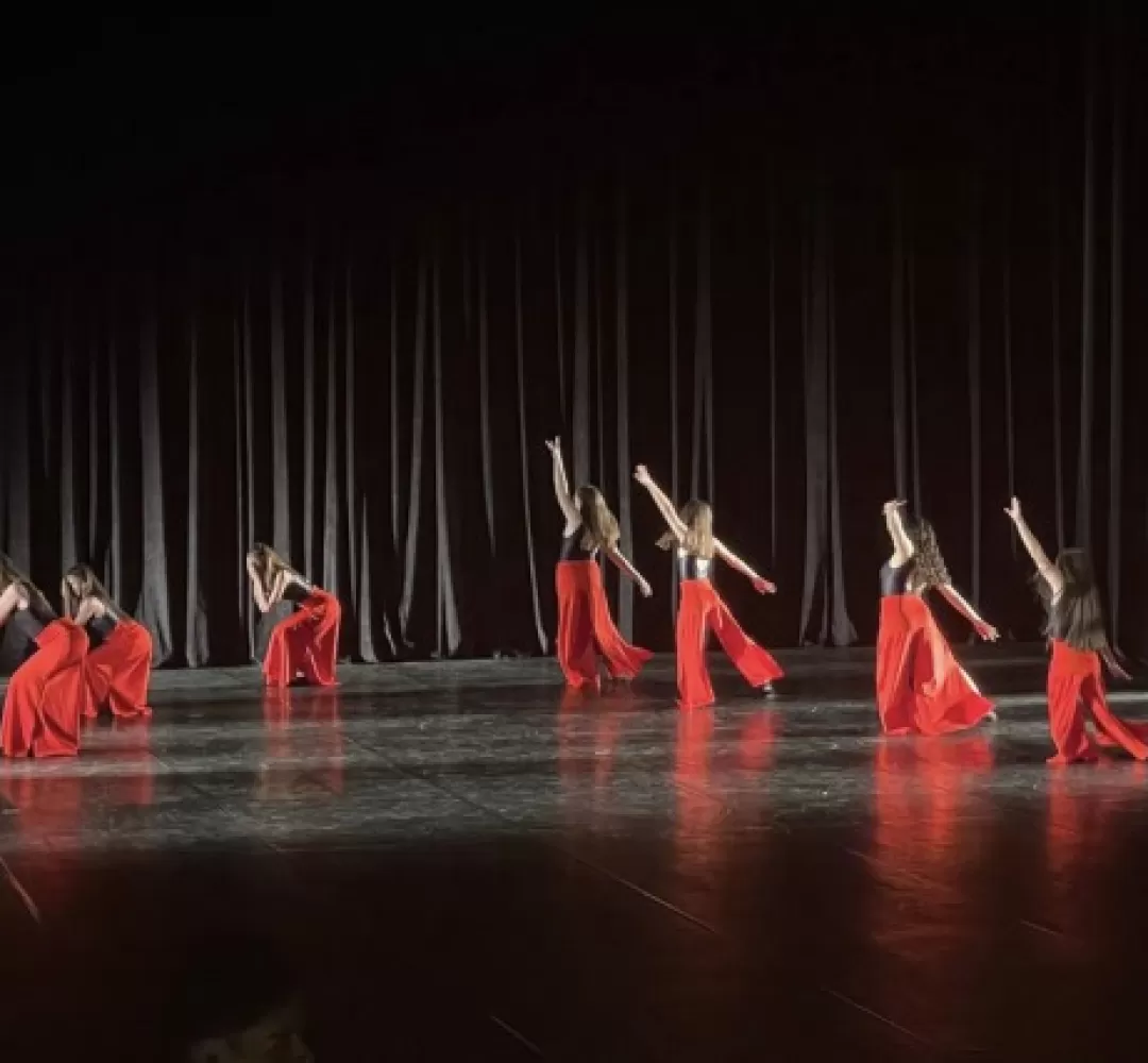 Festival de Dança de Cascavel divulga resultado da seletiva: consulte a lista completa online