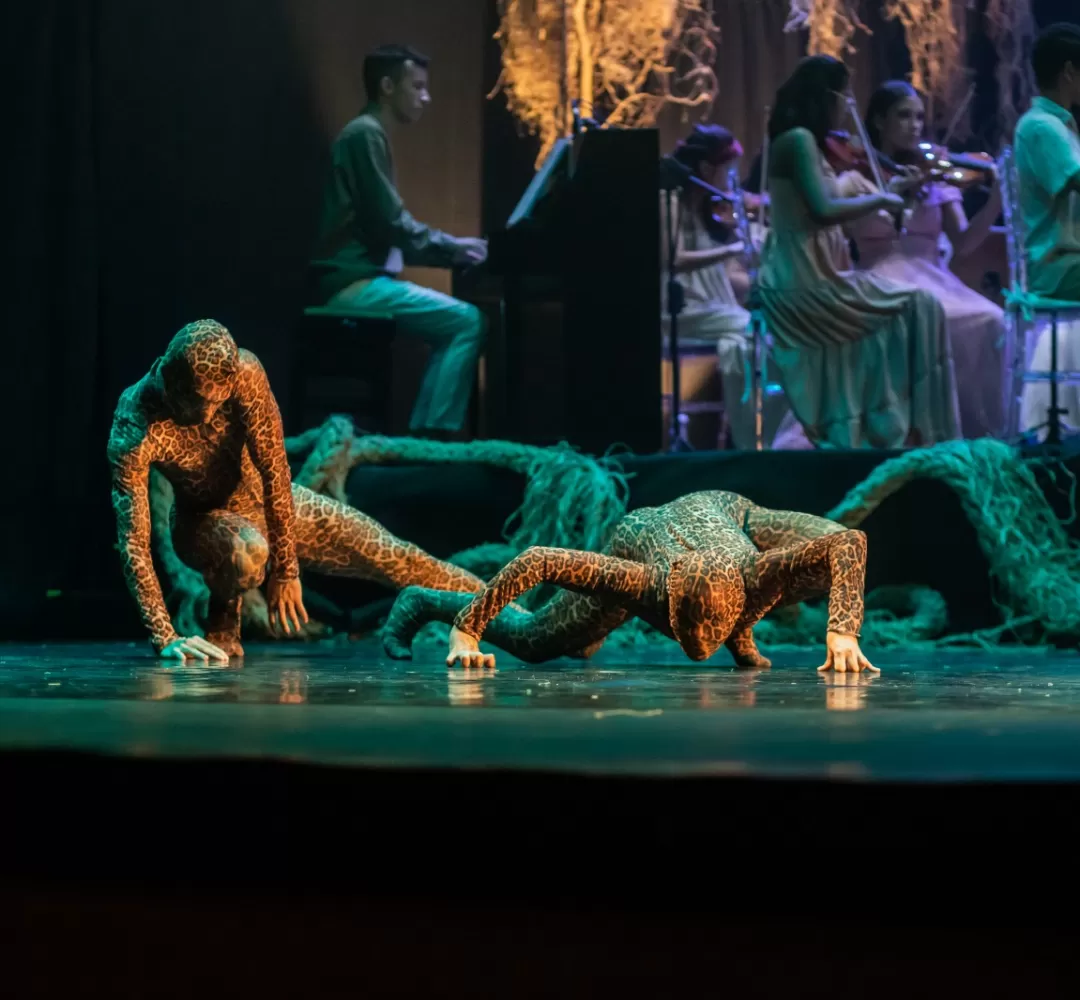 Guadakan: Espetáculo que une dança e música para preservar o Pantanal chega a Cascavel