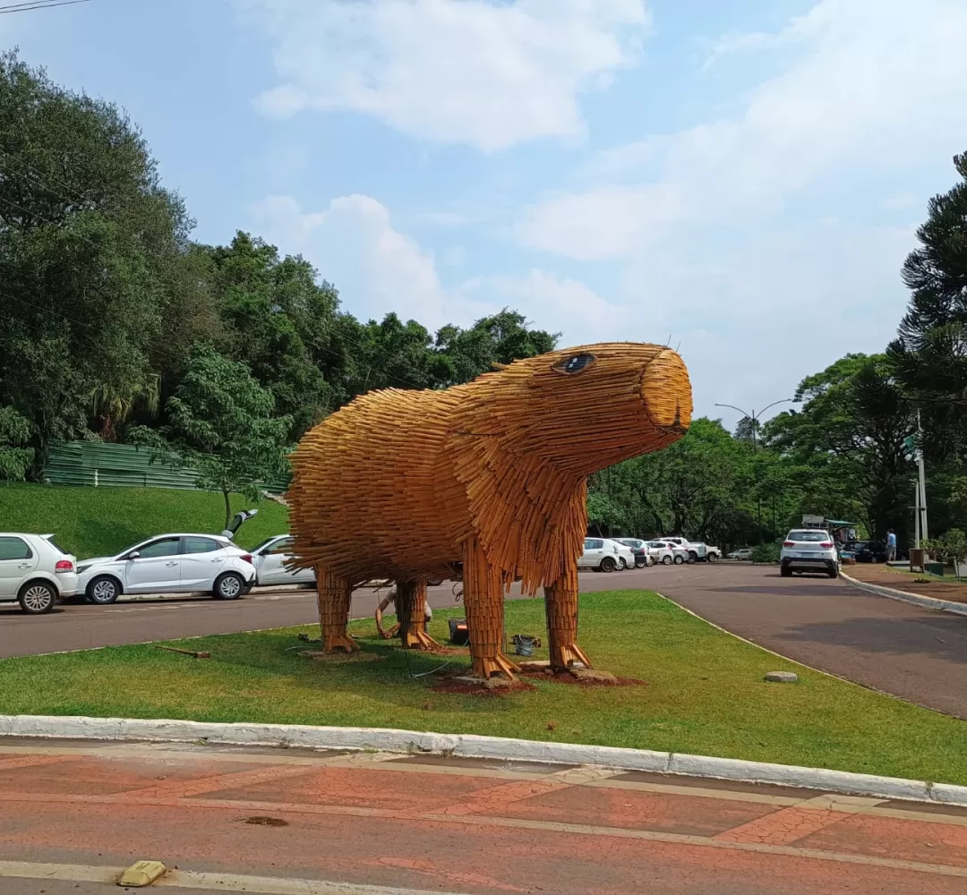 Natal dos Pioneiros: Capivaras gigantes chamam atenção em Cascavel