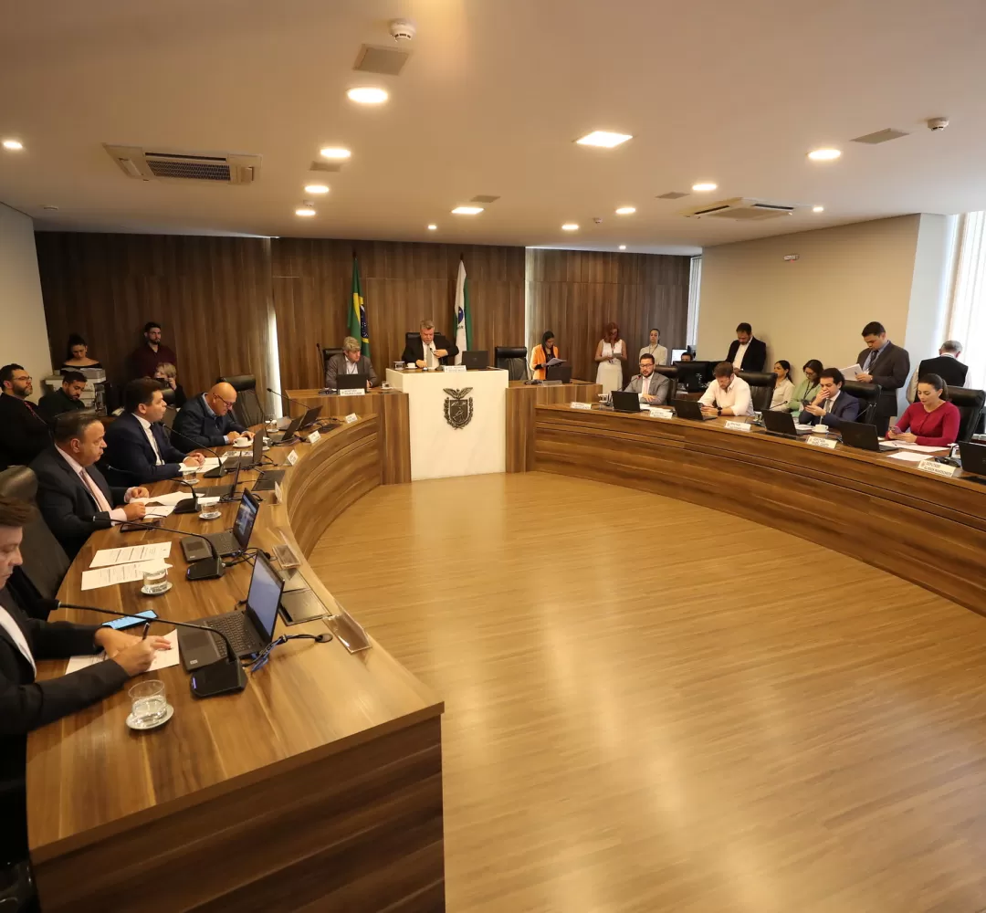 CCJ aprova projetos polêmicos de desestatização, licenciamento ambiental e carreira militar