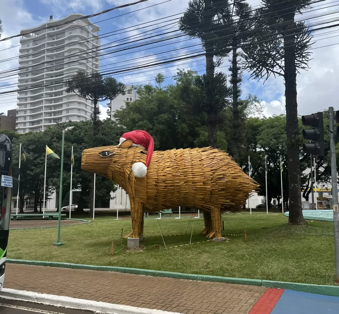 Decoração natalina de Cascavel será inaugurada amanhã. Confira detalhes do projeto: