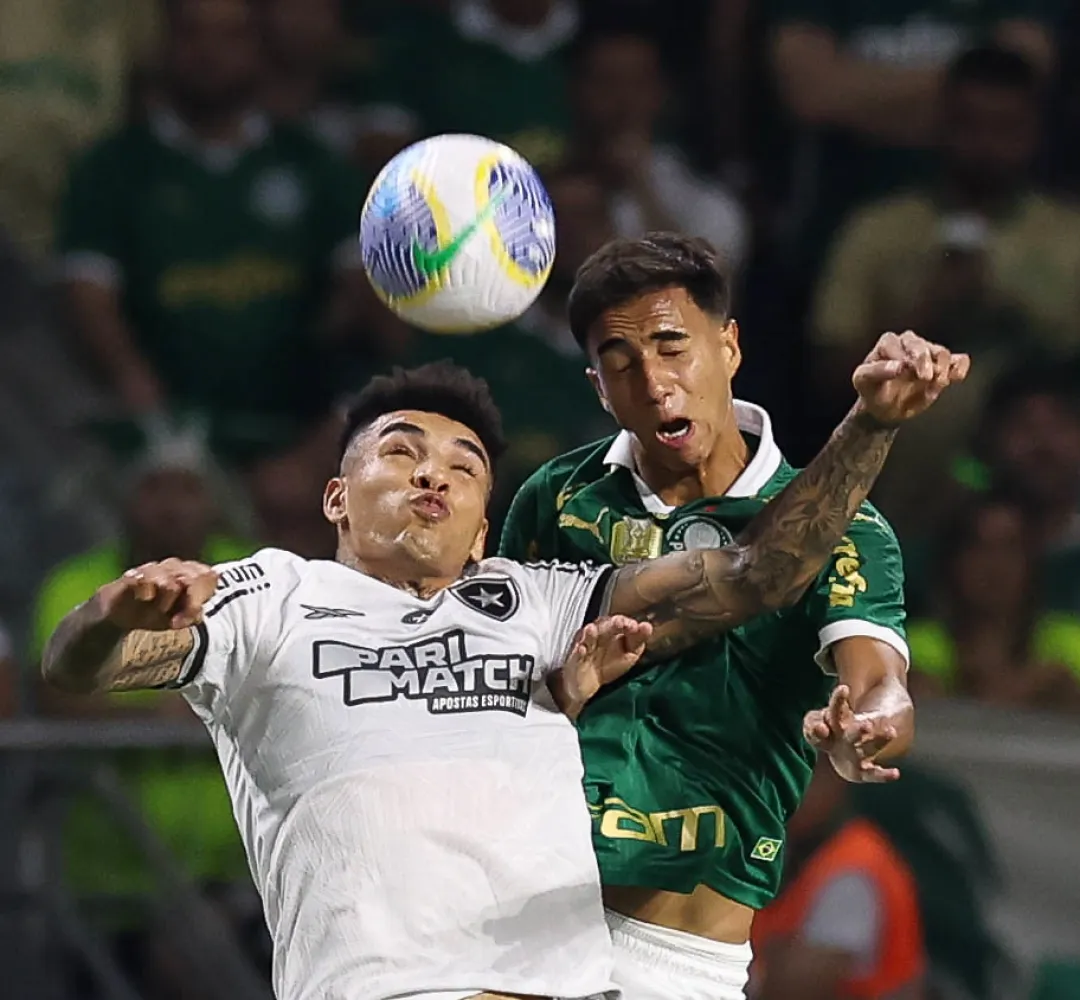 O Botafogo não ‘botafogou’ no Campeonato Brasileiro