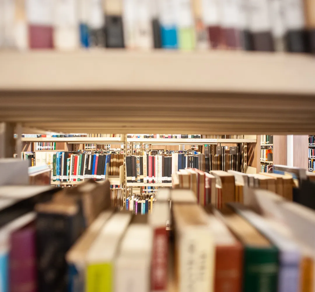 Biblioteca Pública do Paraná promove eventos que unem arte e literatura em dezembro