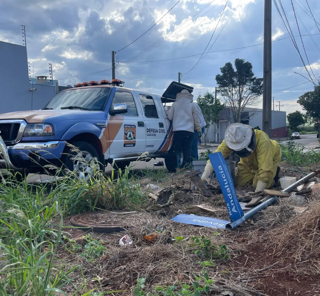 Apenado com carro da Defesa Civil? Prefeitura explica situação
