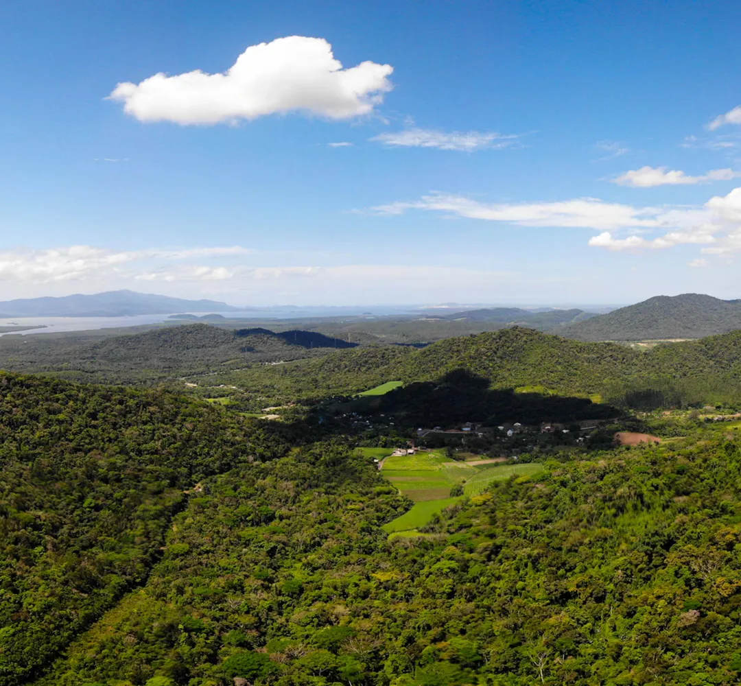MPF: irregularidades expõem desafios na fiscalização ambiental no litoral do Paraná