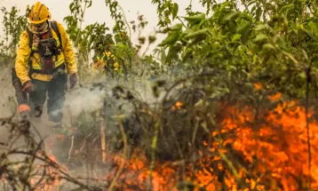 Brasil tem 1 milhão de focos de queimada registrados em 5 anos