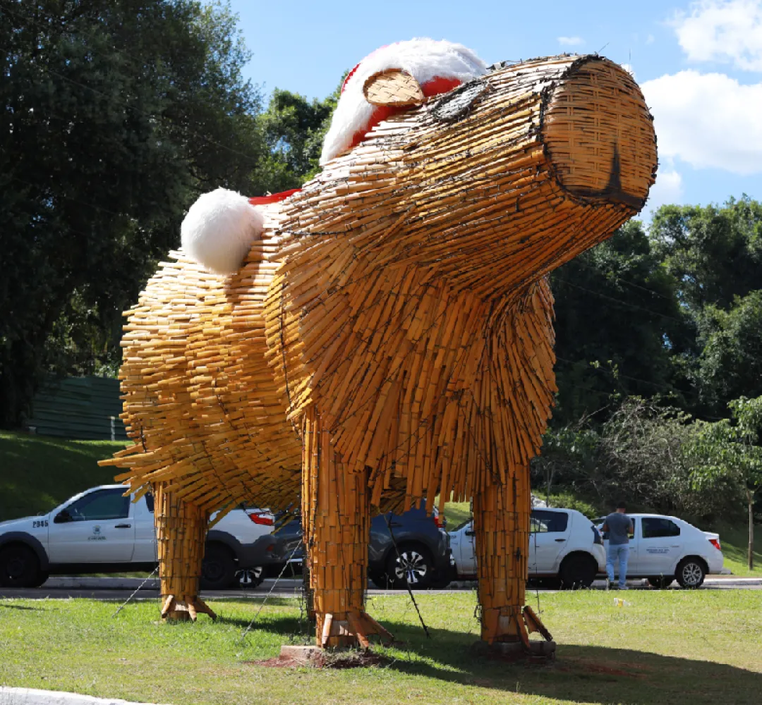 Capivara de bambu ganha residência definitiva no Lago Municipal de Cascavel
