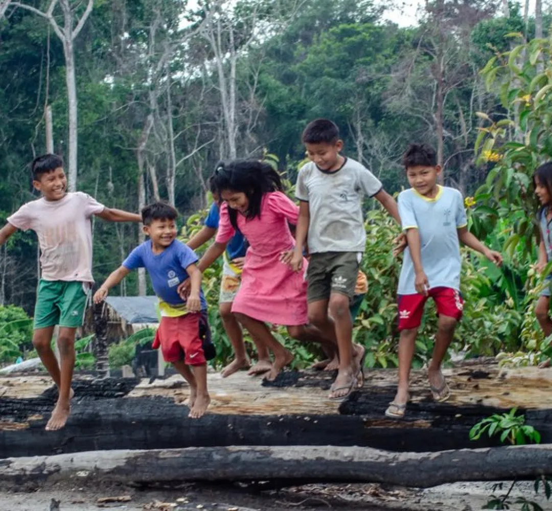 Para ministra, retirada de invasores na Terra Munduruku representa marco na defesa dos Povos Indígenas