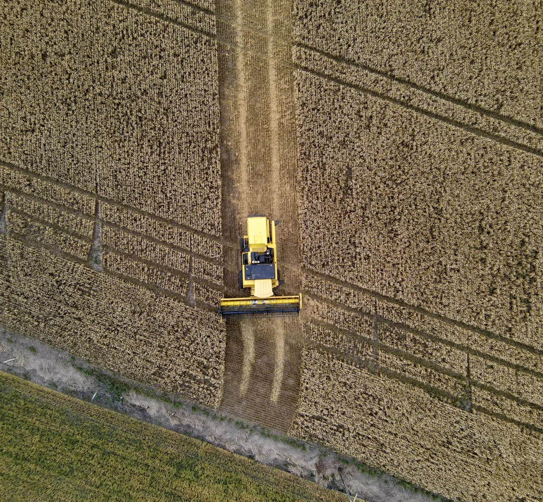 Paraná terá maior crescimento da produção agrícola entre estados do Sul e Sudeste em 2025