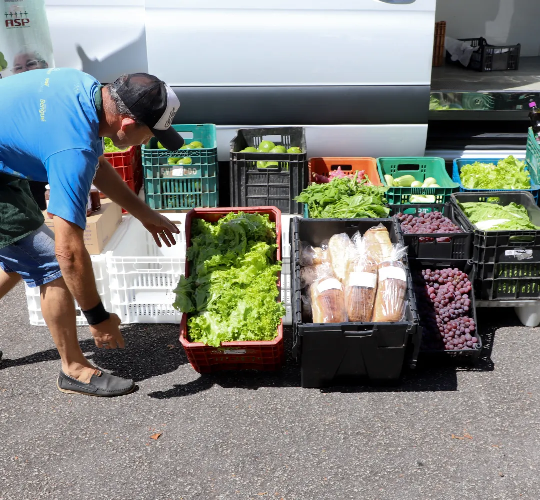 Paraná reforça segurança alimentar e preservação ambiental com novas políticas para agricultura familiar