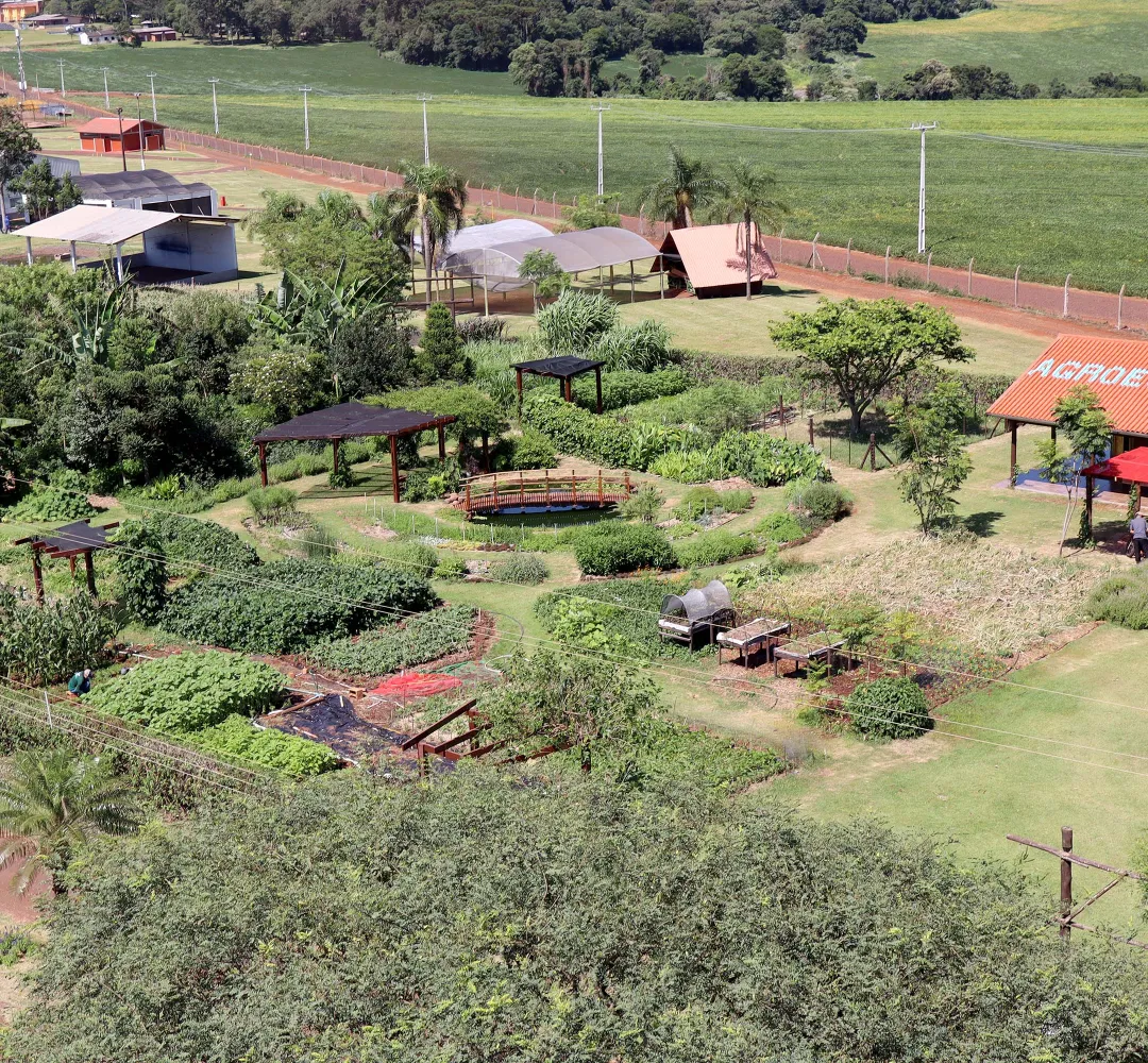 Vitrine Tecnológica do IDR-PR vai mostrar as novidades da agroecologia no Show Rural