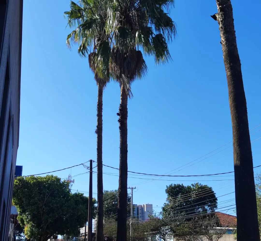 Sexta-feira de calor e tempo instável em Cascavel