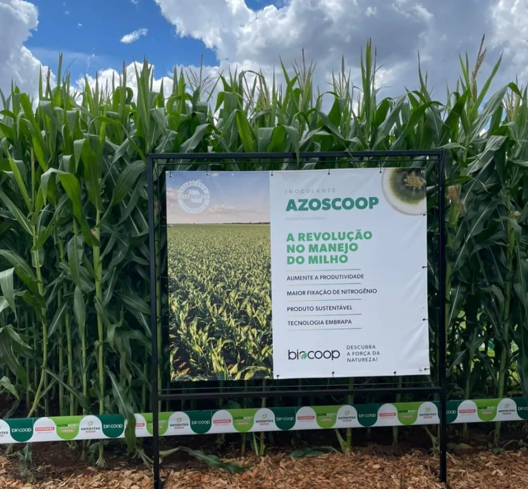Novo inoculante para milho promete revolucionar a produtividade com sustentabilidade