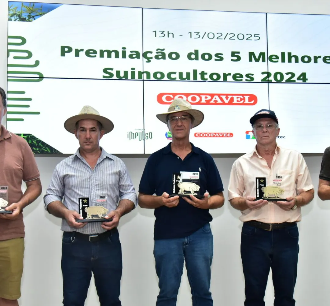Coopavel divulga os melhores suinocultores de 2024