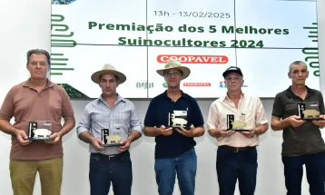 Coopavel divulga os melhores suinocultores de 2024