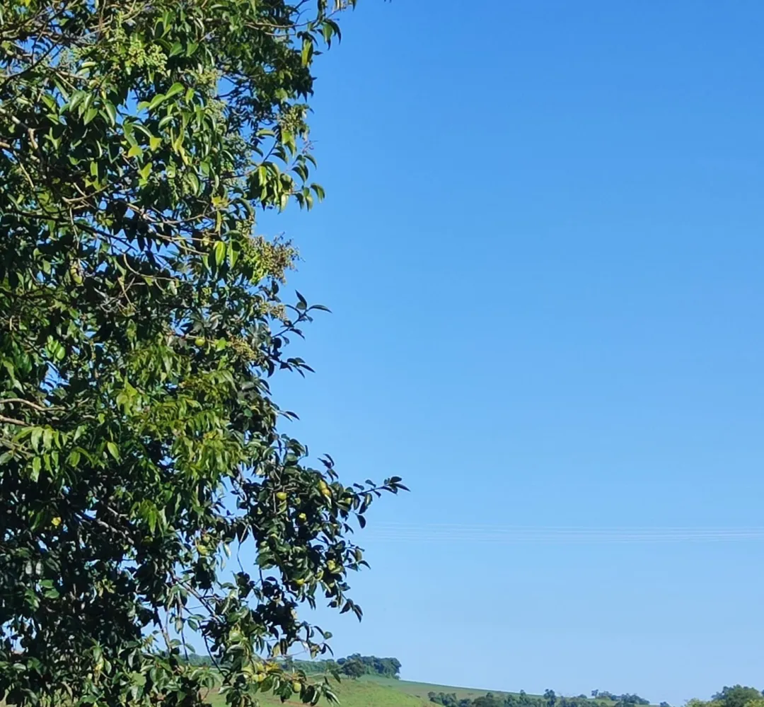 Domingo de sol e calor intenso em Cascavel