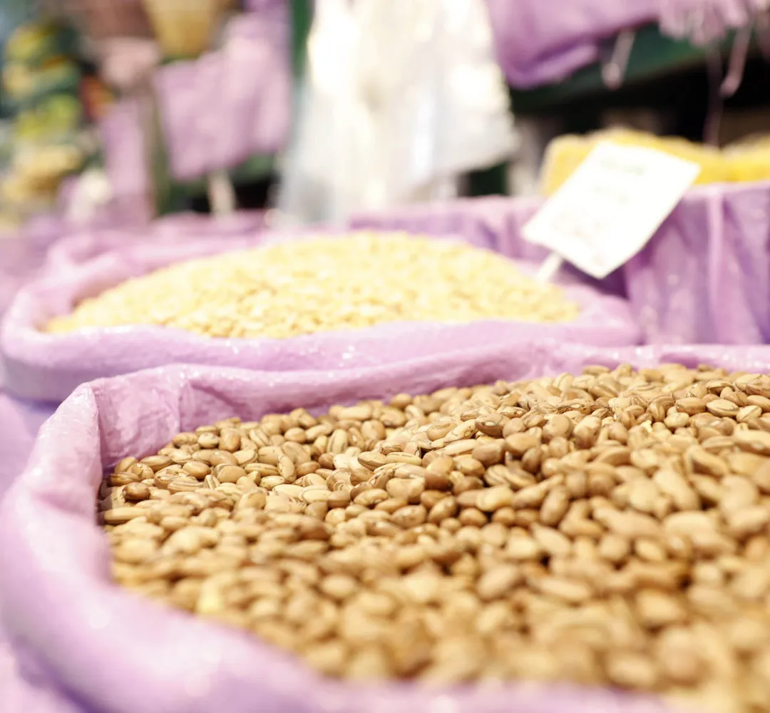 Preços estão mais animadores e produtores paranaenses podem ter bons ganhos nesta safra