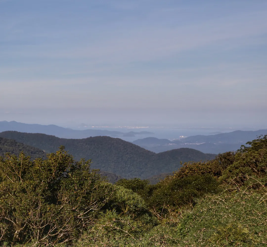 STF julgará Inconstitucionalidade de nova lei de licenciamento ambiental do Paraná