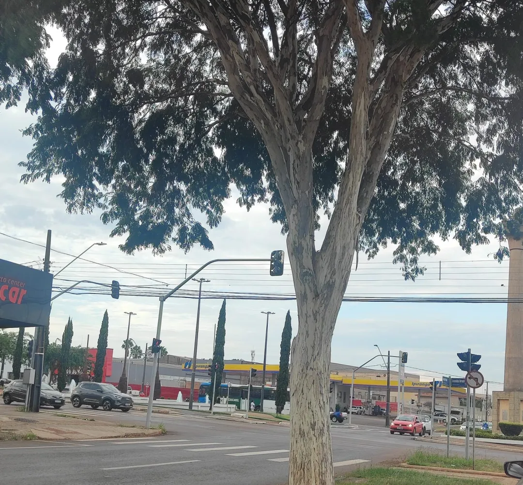 Previsão do tempo Cascavel
