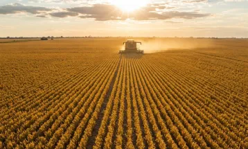 Exportações do agro crescem 8,2% em maio impulsionadas por soja e carnes