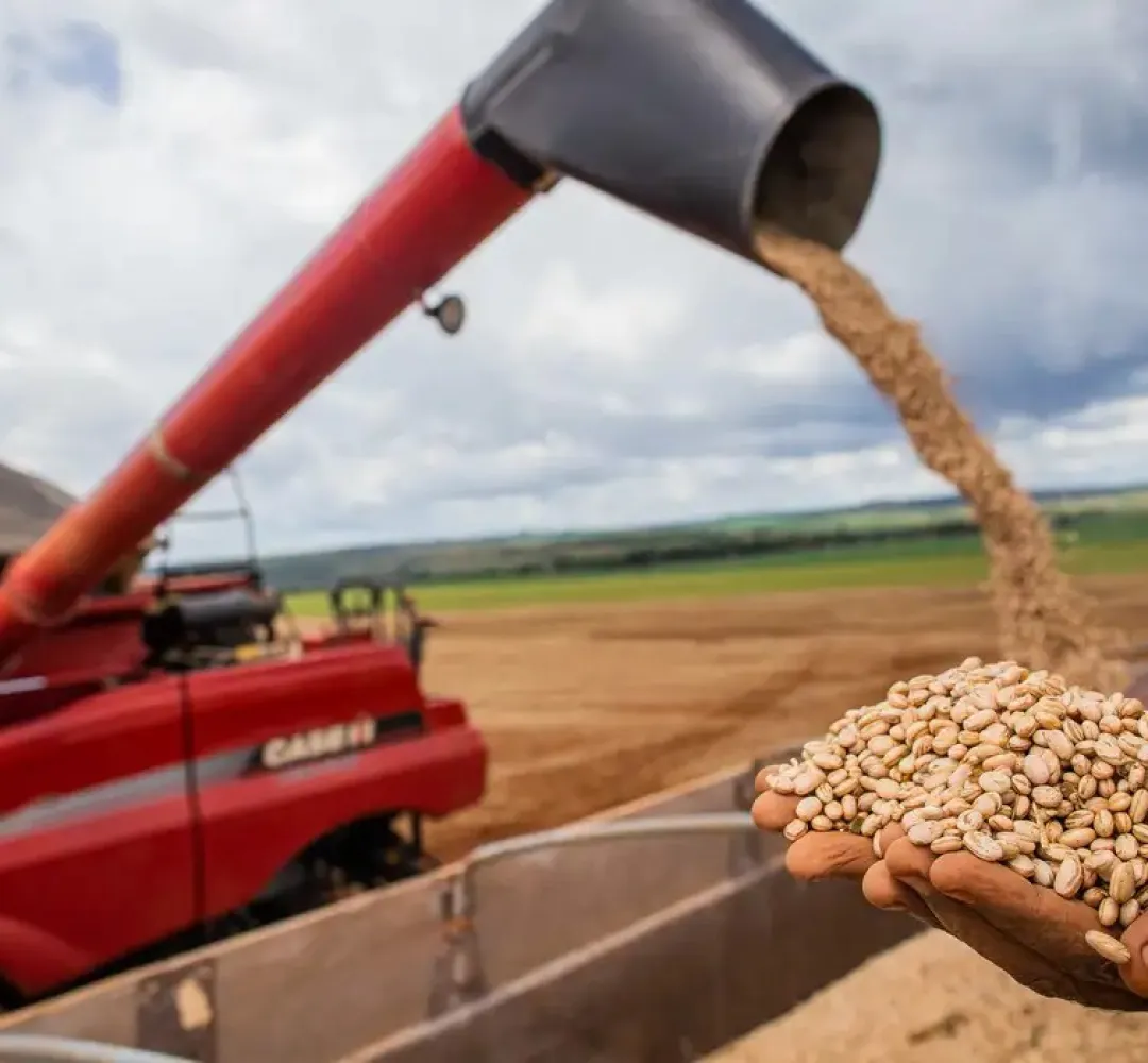 Soja continua a ser o principal produto