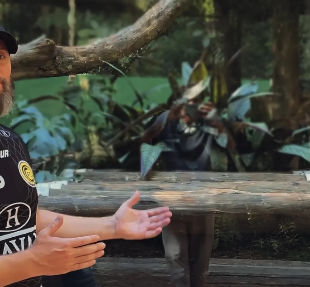 Macaca Chita vive no zoológico de Cascavel