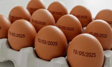 País tem recorde na produção de ovos, abate de bovinos, frango e porco
