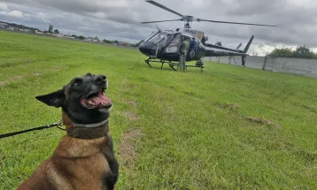 Pela 1ª vez, PCPR treina cães farejadores em aeronaves para ambientação de operações