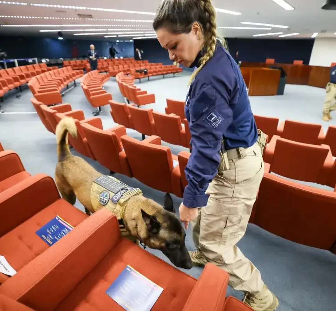 Plenário STF