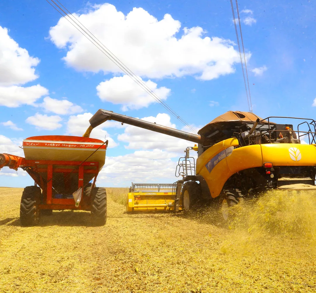 Seguro rural é essencial para o agronegócio