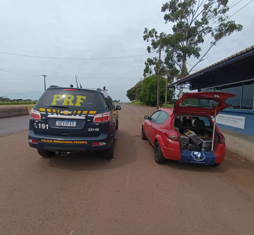 Maconha apreendida em Lindoeste