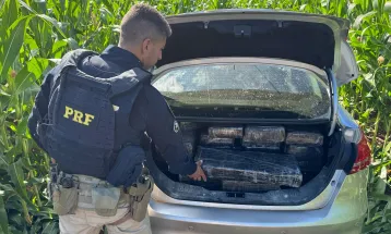 PRF apreende mais de meia tonelada de maconha em Nova Santa Rosa (PR)
