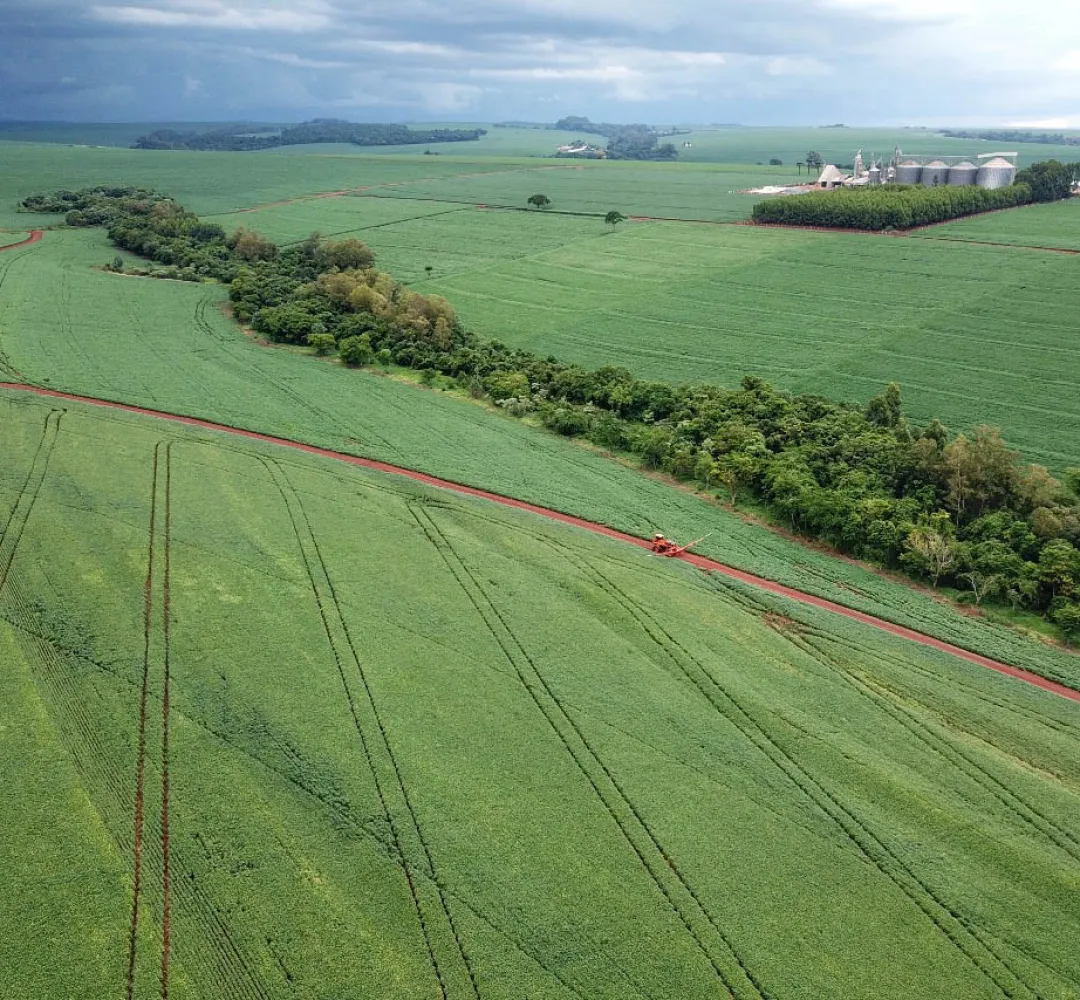 Agropecuária