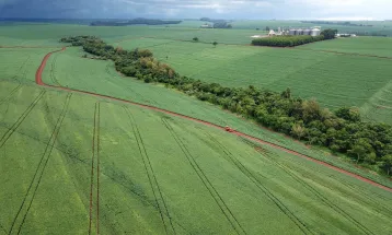 Termina plantio da 2ª safra de milho; previsão de produção é de 15,9 milhões de toneladas