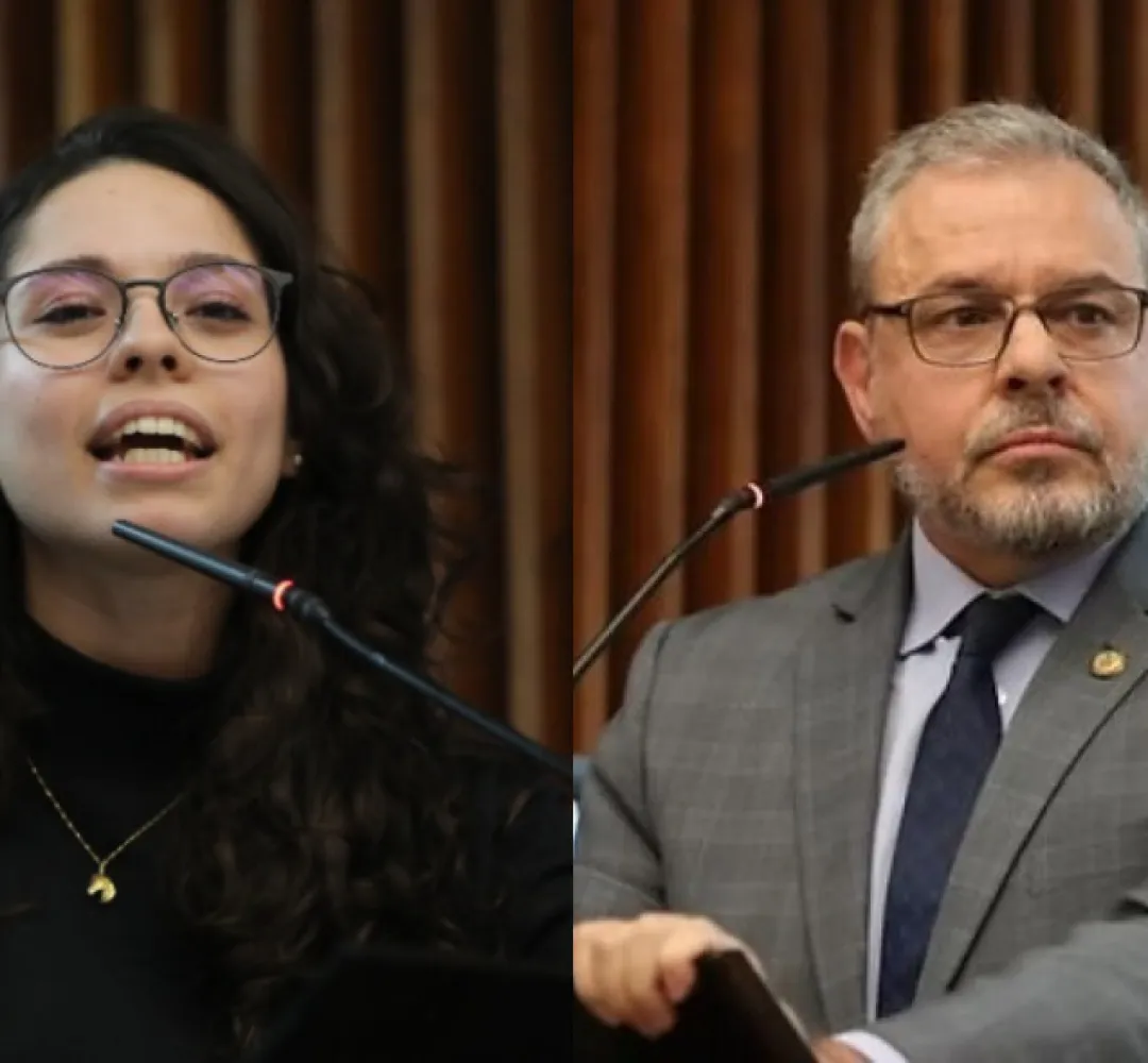 ana julia ricardo arruda
