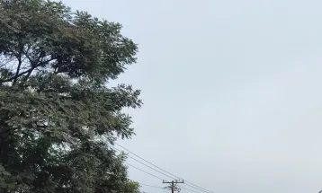 Neblina marca o início da quarta-feira em Cascavel