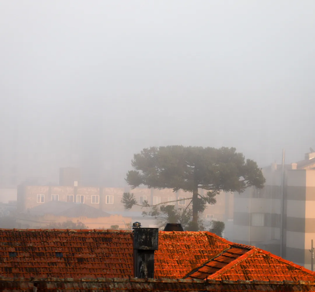 Frio, tempo, inverno