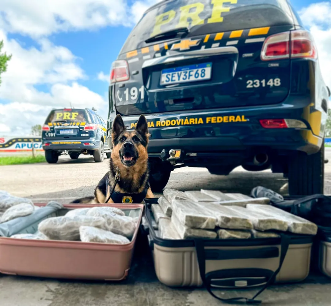 Droga foi apreendida com auxílio de cão farejador