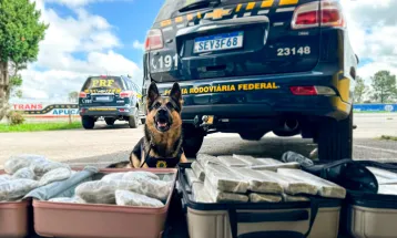 PRF apreende mais de 120 quilos de drogas em táxi na BR-277, em Balsa Nova