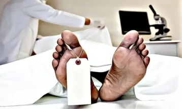 Morte súbita