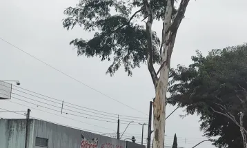 Cascavel tem dia chuvoso e temperaturas amenas 🌧️