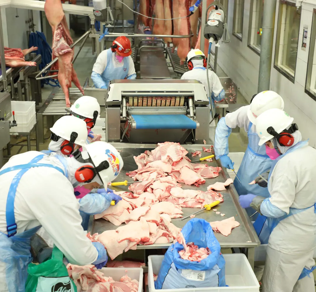 Carne de porco