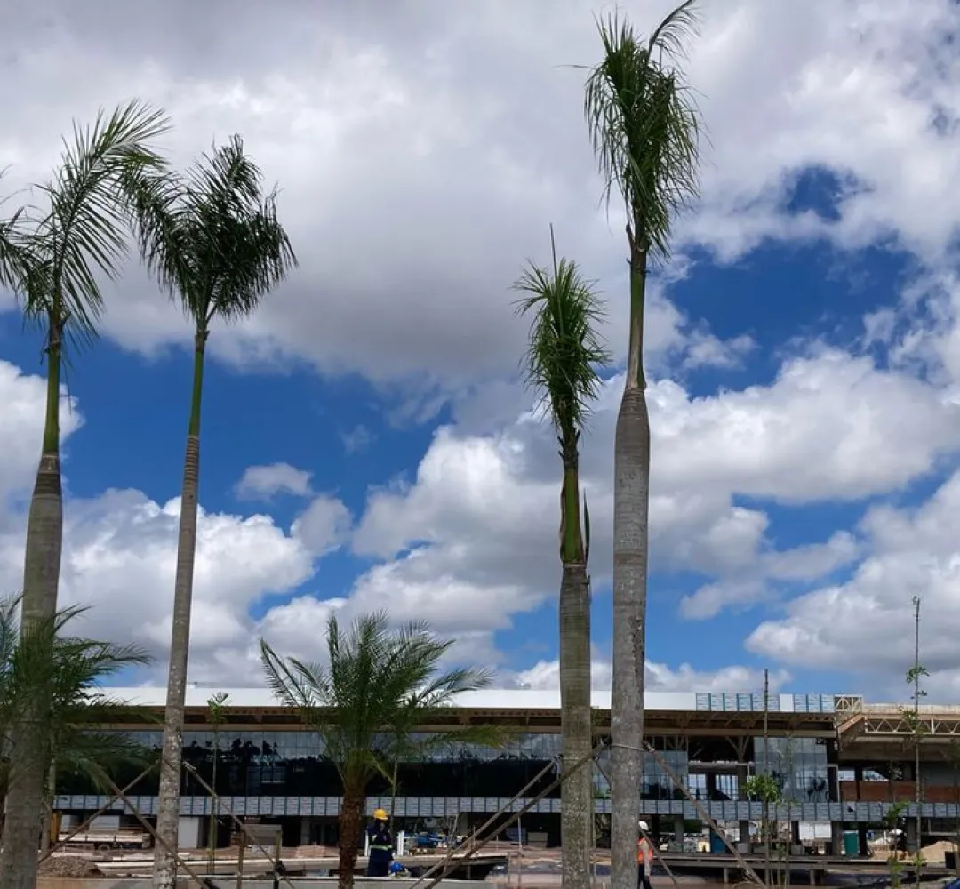 Obras da Cop30